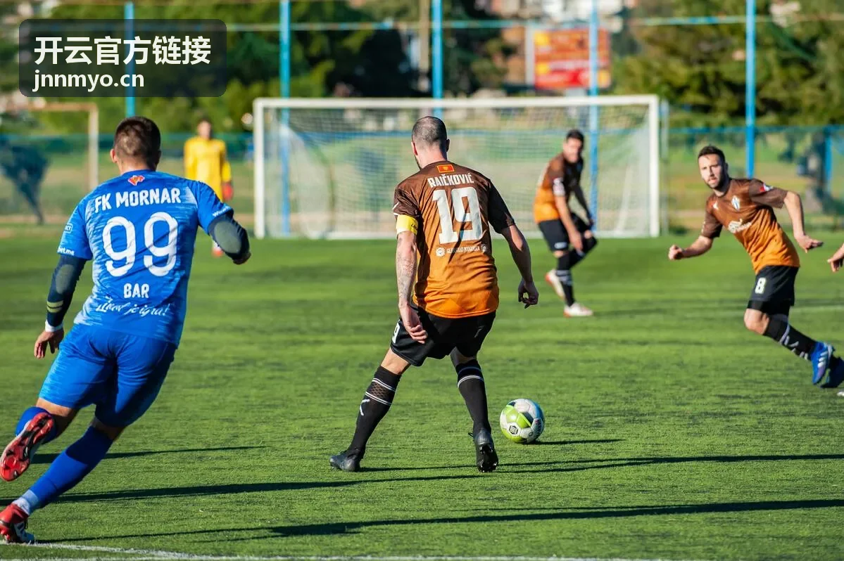 开云官方链接更新动态